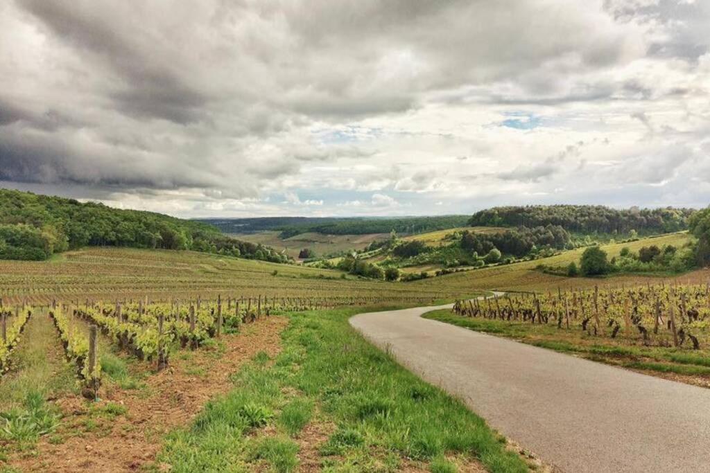 La Dolce Vita Des Hautes Cotes Magny-les-Villers Eksteriør billede